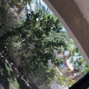 Meet your Posher, Lora lynn